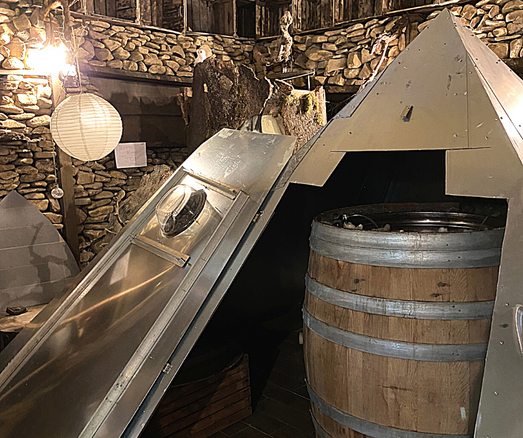 La nuova frontiera della viticoltura e della vinificazione